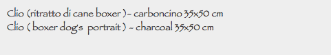 Clio (ritratto di cane boxer )- carboncino 35x50 cm
Clio ( boxer dog's portrait ) - charcoal 35x50 cm